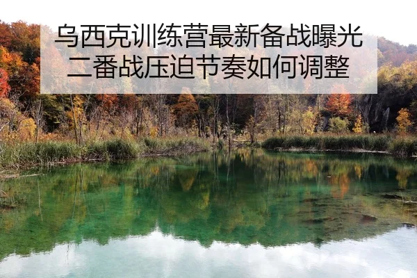 wu-xi-ke-xun-lian-ying-zui-xin-bei-zhan-bao-guang-er-fan-zhan-ya-po-jie-zou-ru-he-tiao-zheng-2-227.jpg