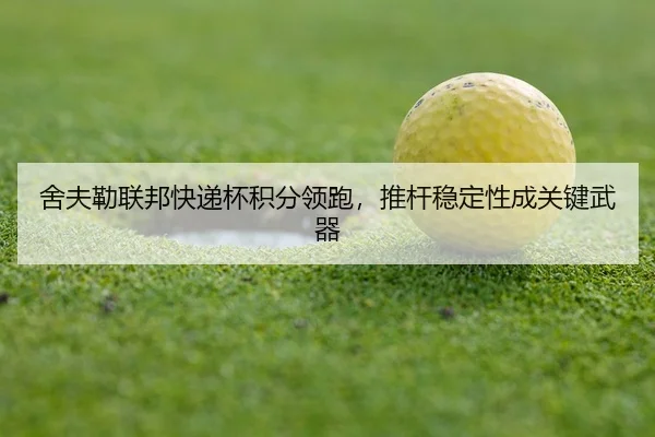 she-fu-lei-lian-bang-kuai-di-bei-ji-fen-ling-pao-tui-gan-wen-ding-xing-cheng-guan-jian-wu-qi-2-321.jpg