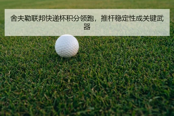 she-fu-lei-lian-bang-kuai-di-bei-ji-fen-ling-pao-tui-gan-wen-ding-xing-cheng-guan-jian-wu-qi-3-657.jpg