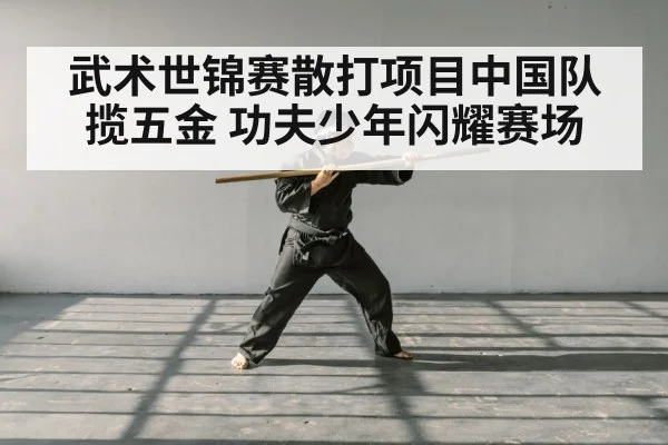 武术世锦赛散打项目中国队揽五金 功夫少年闪耀赛场